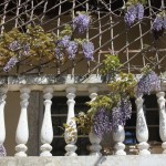 Vizinada April 2011 (31) 1024 x 768